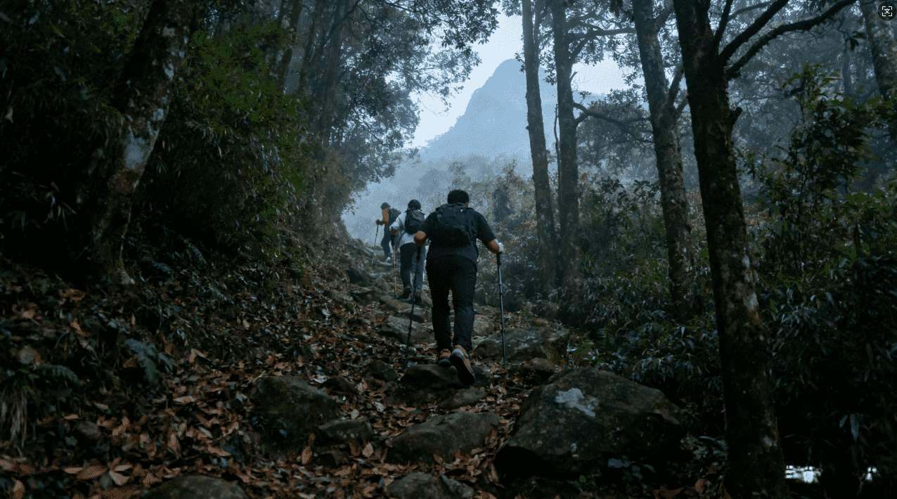 789加速器永久版本下载安装指南